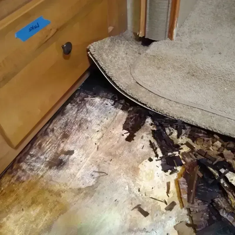 Wood Floor Water Damage in Crofton, MD